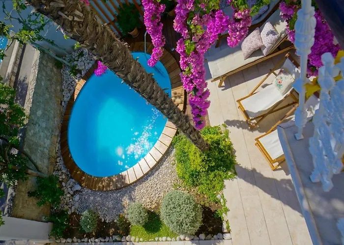 House With Private Pool At The In - Peljesac *