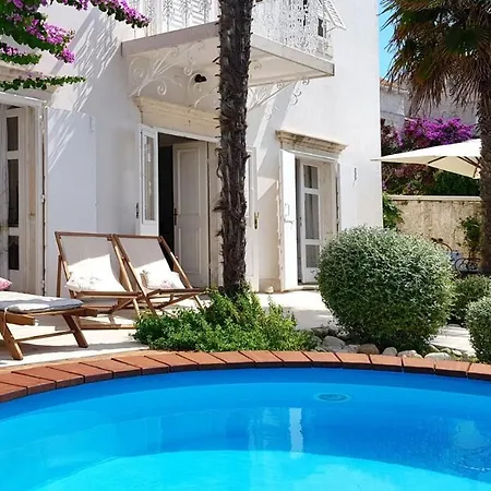 House With Private Pool At The In - Peljesac Villa Orebić