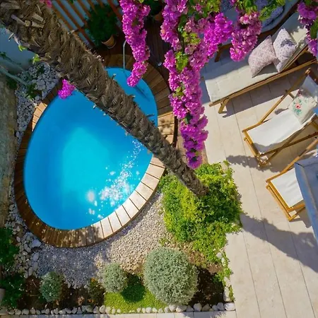 House With Private Pool At The In - Peljesac *