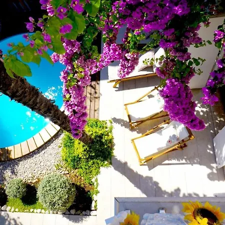 House With Private Pool At The In - Peljesac Villa *